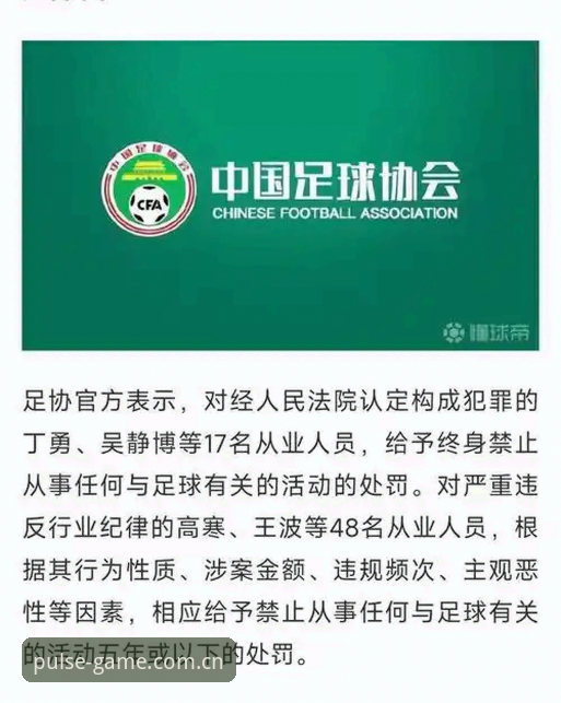 中国足协第三批禁足名单深度解析：从行业乱象到治理新规的完整指南